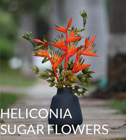Heliconias Sugar Flowers