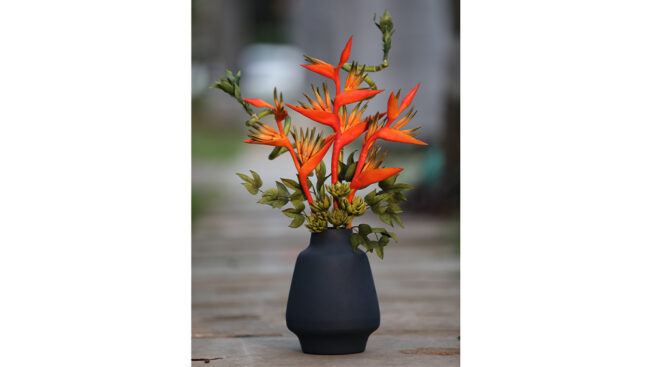 Heliconia