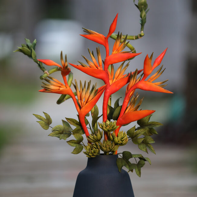 Heliconia