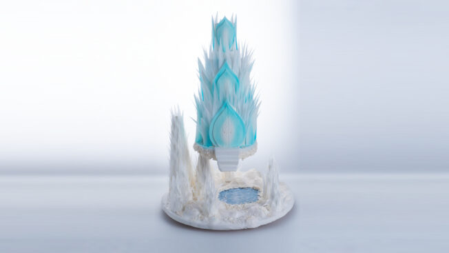 Frozen Wonderland