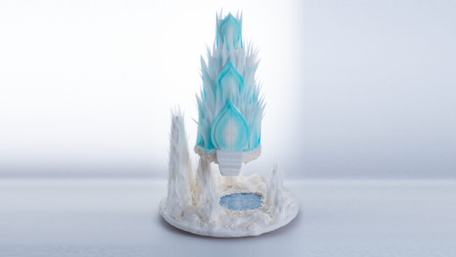 Frozen Wonderland