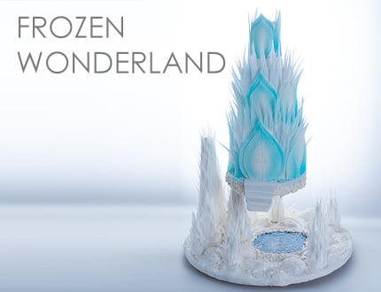 Frozen Wonderland