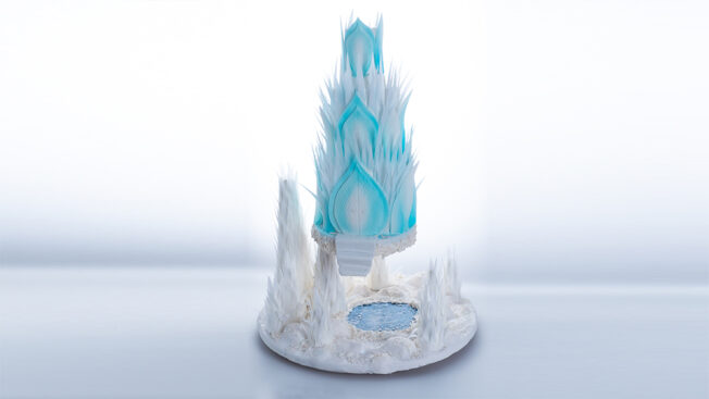 Frozen Wonderland