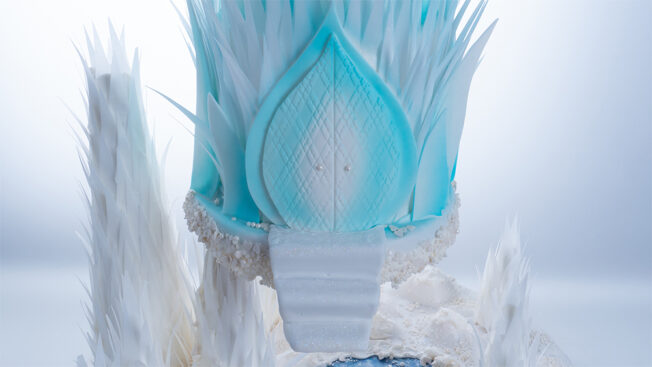 Frozen Wonderland