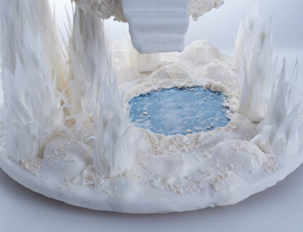 Frozen Wonderland