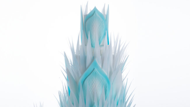 Frozen Wonderland