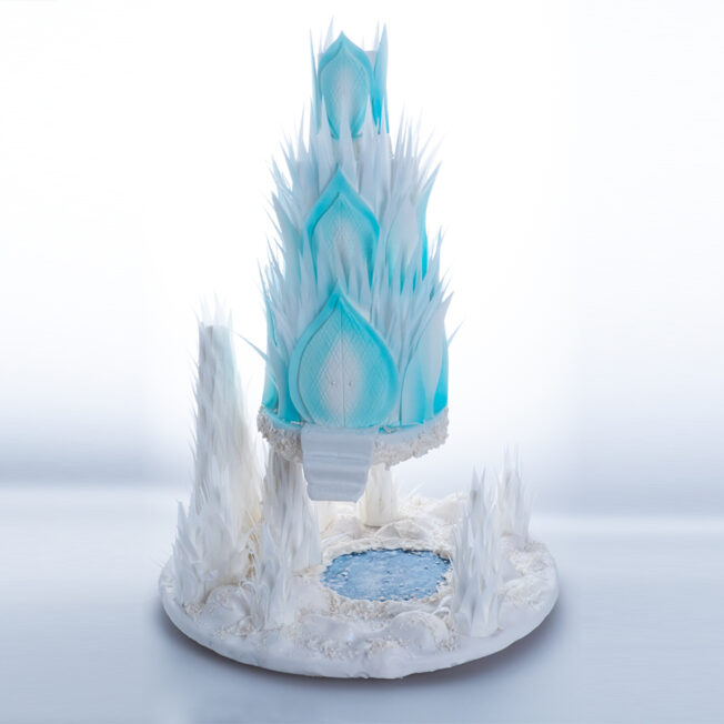 Frozen Wonderland