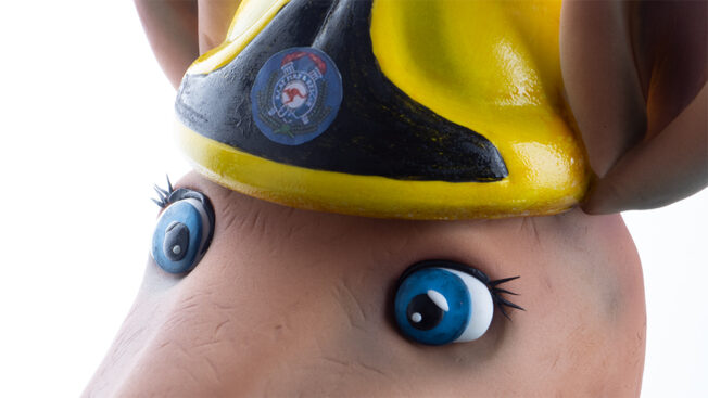 kangaroo fire fighter