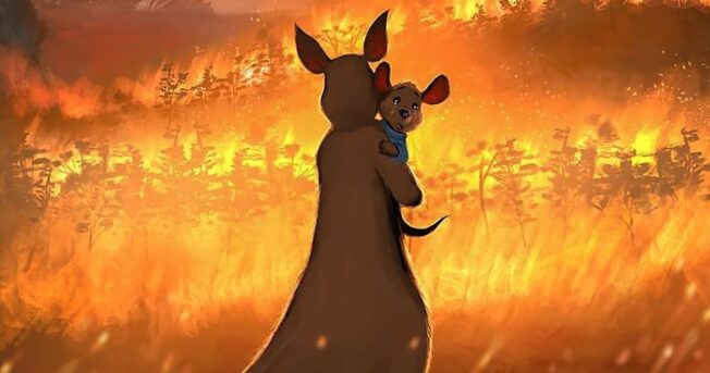 Bush fires