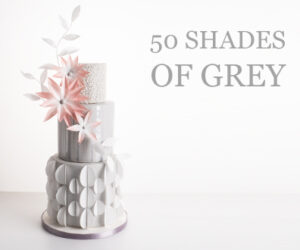 50 shades of grey