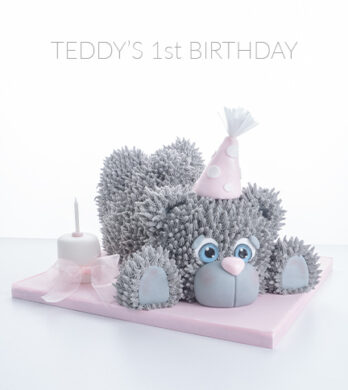 Teddy's 1st birthday