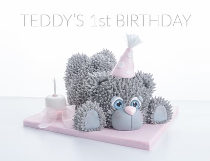 Teddy's 1st Birthday