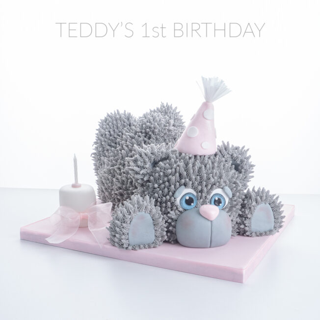 Teddy's 1st birthday