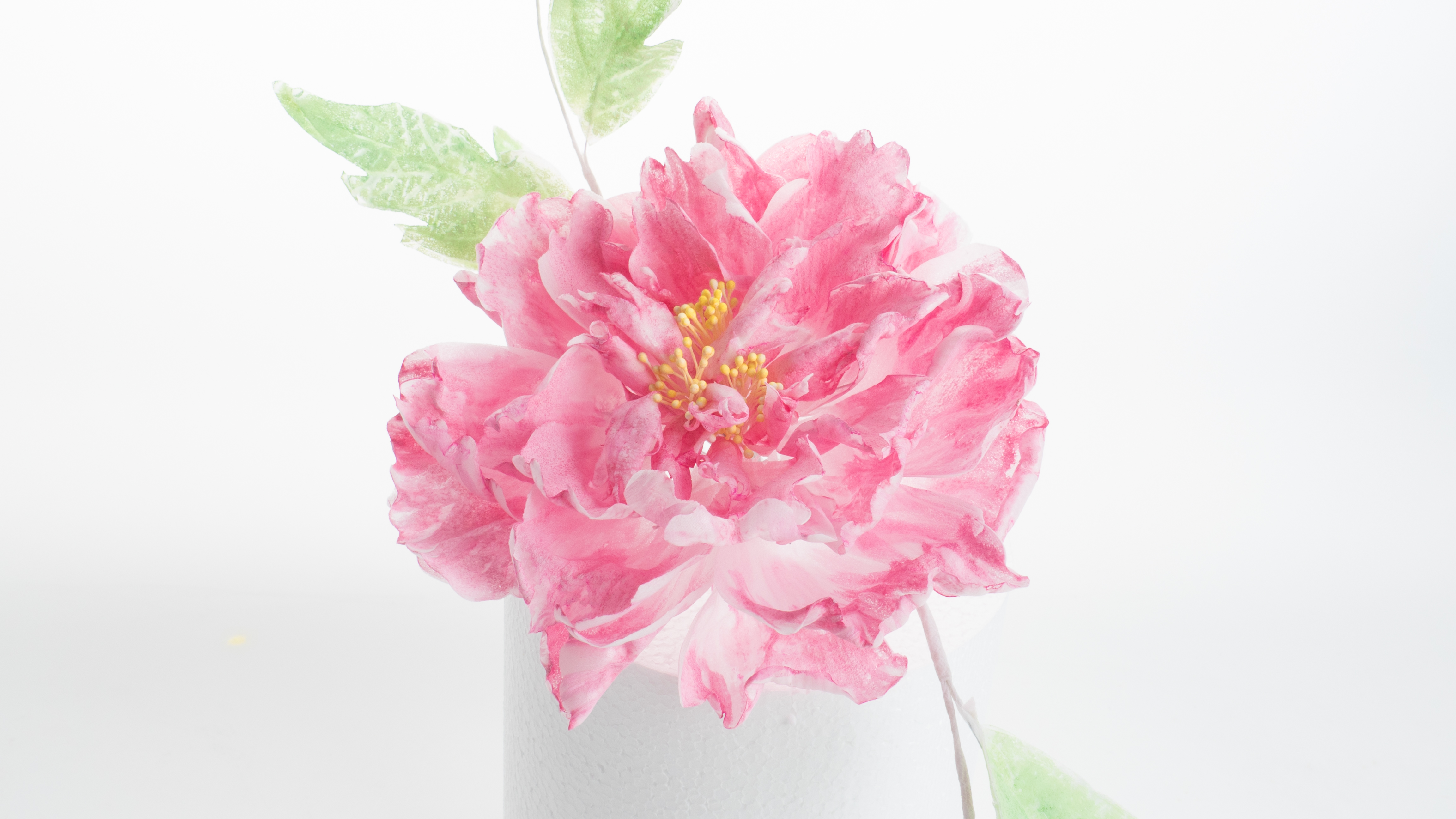 Peony