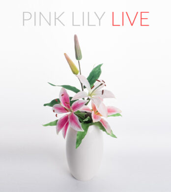 Pink lily