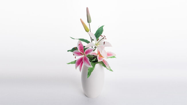 Pink lily