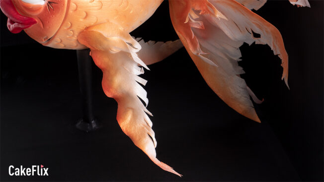 goldfish