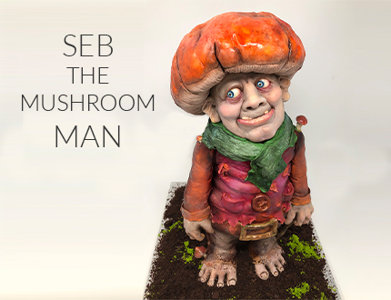 Seb The Mushroom Man
