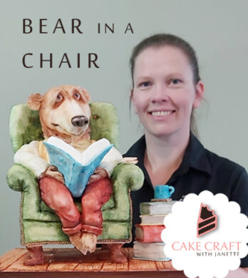 bear in a chair