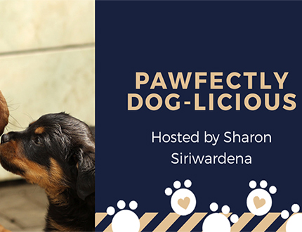 pawfectly dog-licious