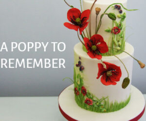 a poppy to remember
