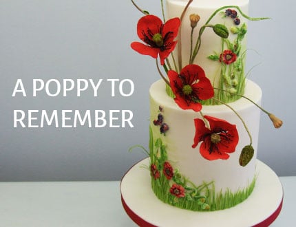 a poppy to remember