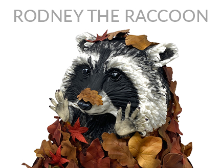 Rodney the Raccoon