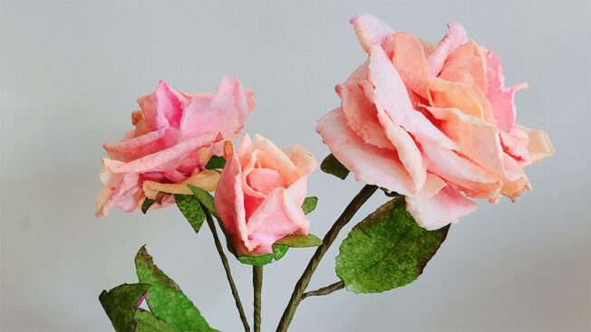 moreish wafer paper flower close up 1