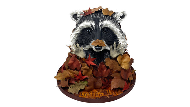 Rodney the raccoon full image