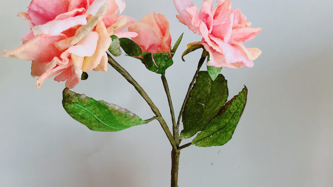 moreish wafer paper flower close up 3