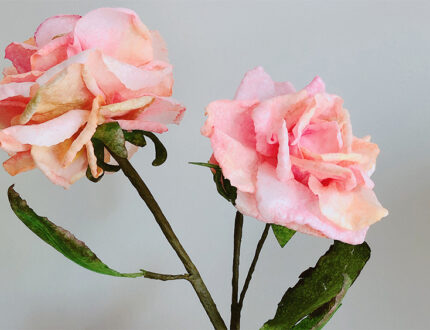 moreish wafer paper flower close up 4