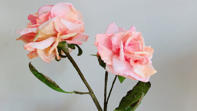 moreish wafer paper flower close up 4