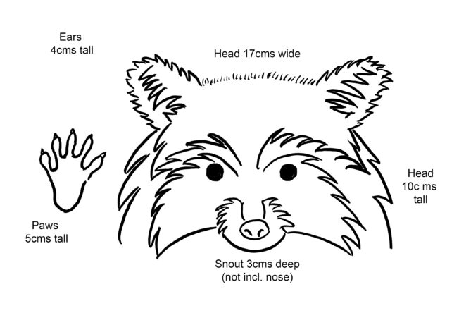 Rhianydd Webb Rodney the raccoon template A470 size