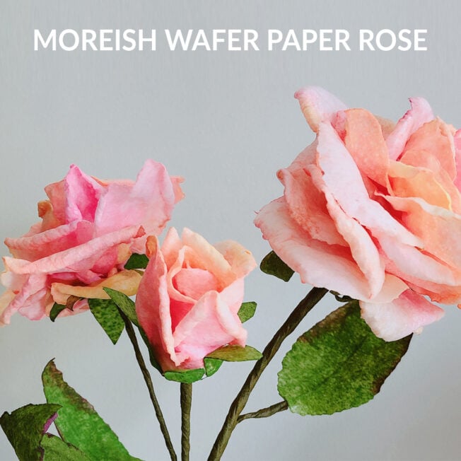 moreish wafer paper rose