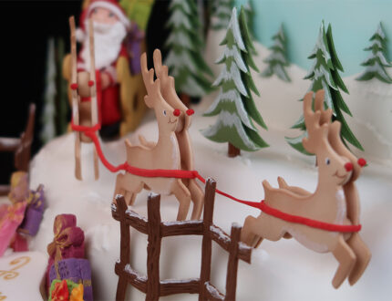 santas sleigh ride close up 2