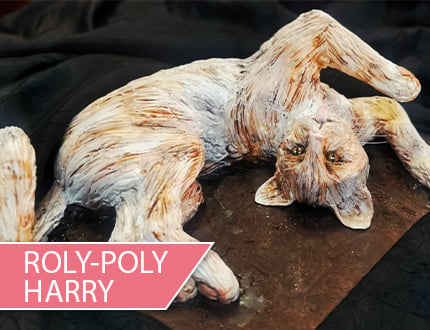 roly-poly harry