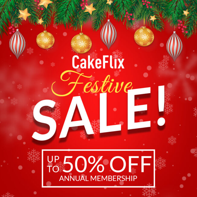 Festive Sale 50% OFF