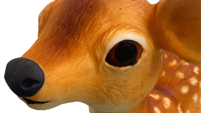 spring deer face close up