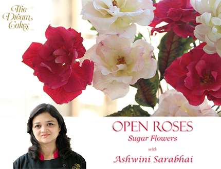 open rose feature image