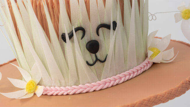 Eater Bonnet Face close up