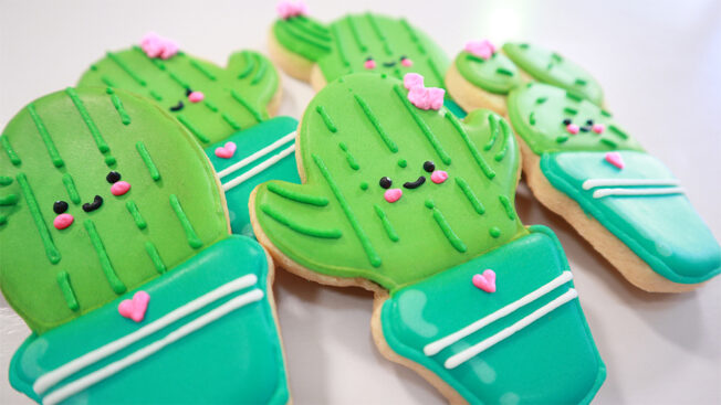 beginners sugar cookies close up