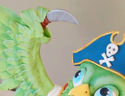 pirate parrot close up hook