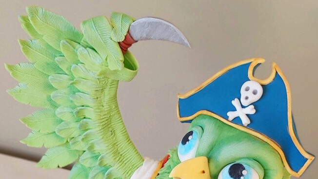 pirate parrot close up hook
