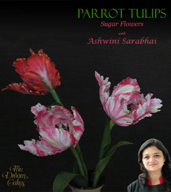 tulips archive web image