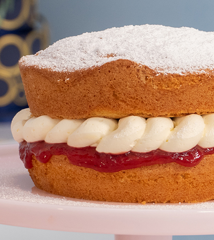 vanilla sponge archive image