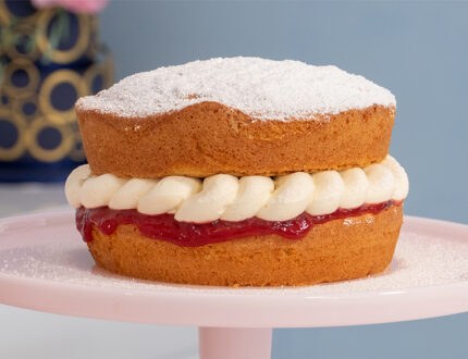 vanilla sponge full shot