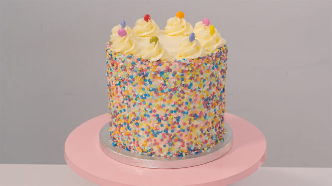 rainbow sprinkle cake full shot
