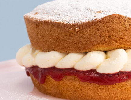 vanilla sponge close up