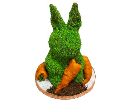 Topiary Bunny on board