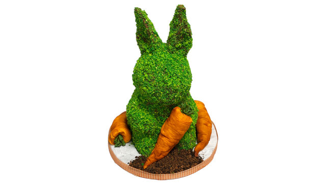 Topiary Bunny on board